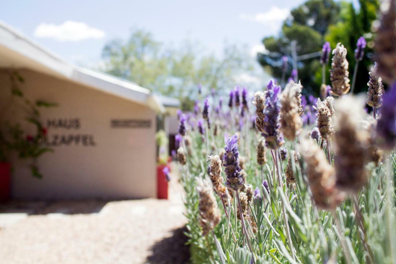 Hotel Haus Holzapfel Beaufort West Zewnętrze zdjęcie